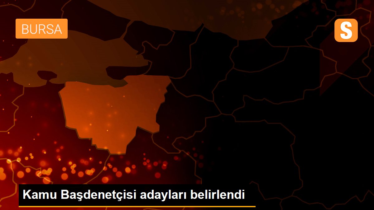 Kamu Başdenetçisi adayları belirlendi