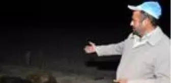 Otomobil, yola çıkan sürüye çarptı: 30 koyun telef oldu