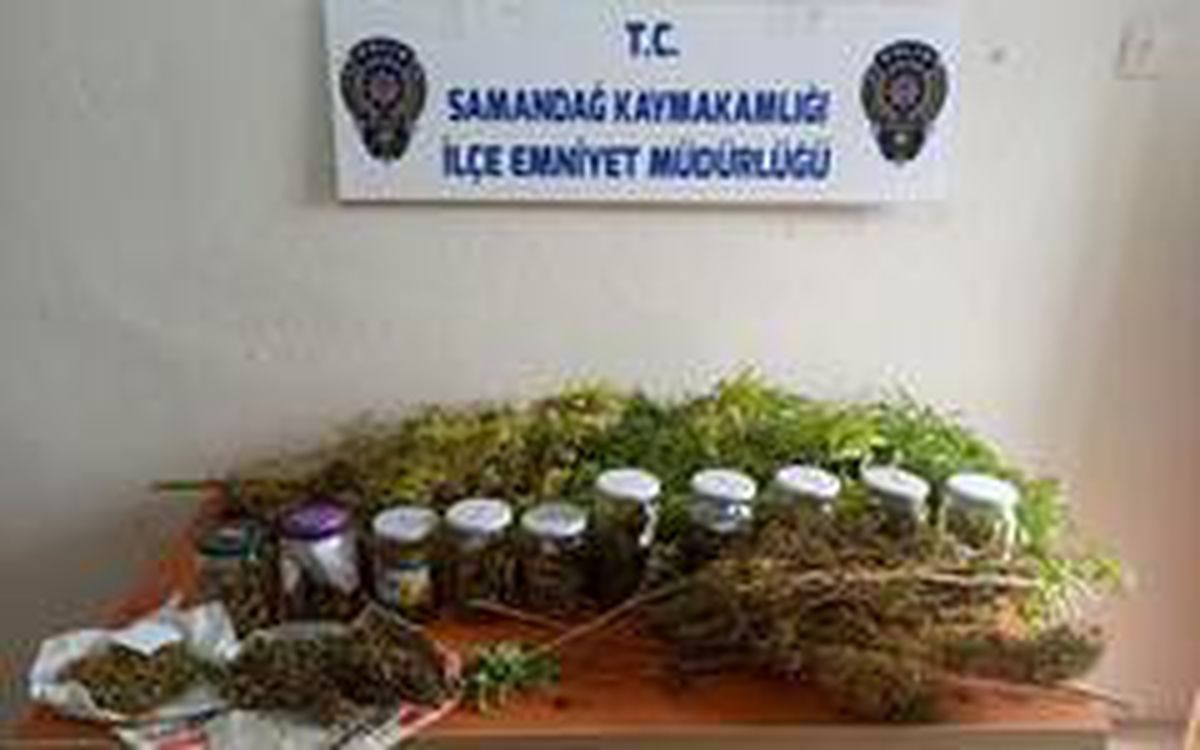 Son dakika haberi: Samandağ\'da uyuşturucu operasyonu: 1 gözaltı