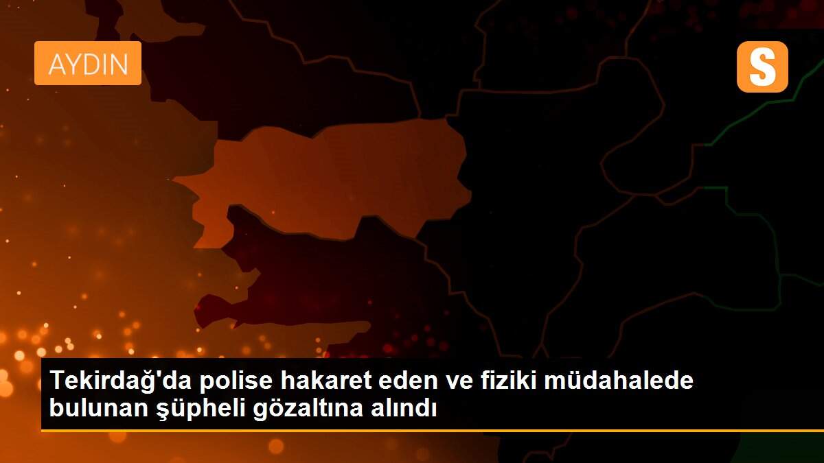 Tekirdağ\'da polise hakaret eden ve fiziki müdahalede bulunan şüpheli gözaltına alındı