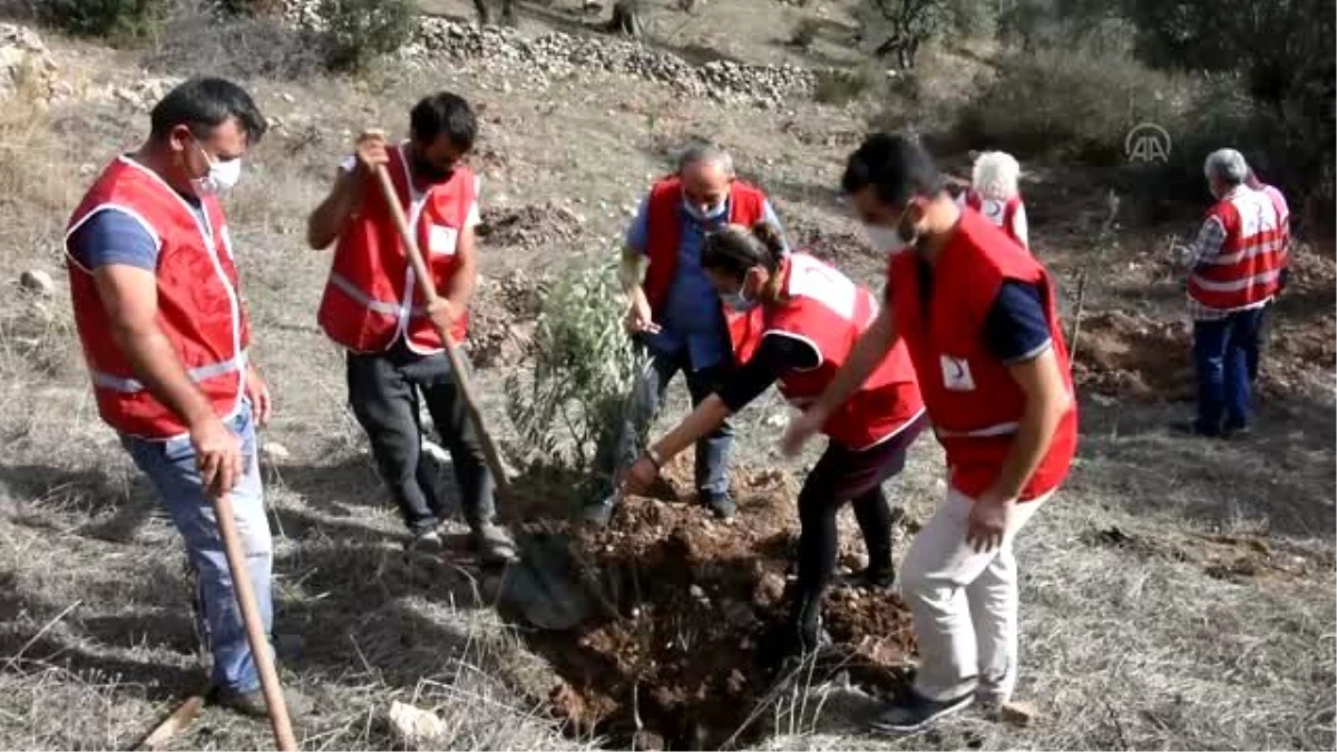 Türk Kızılayı şehitler anısına fidan dikti