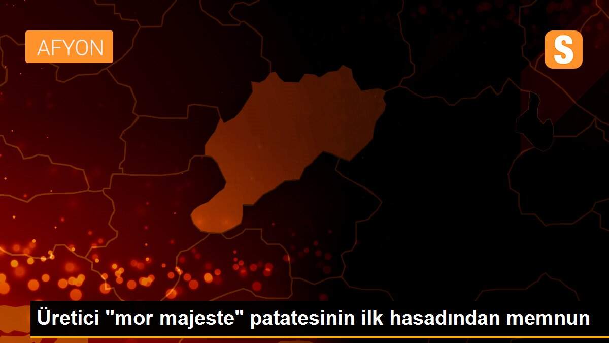 Üretici "mor majeste" patatesinin ilk hasadından memnun