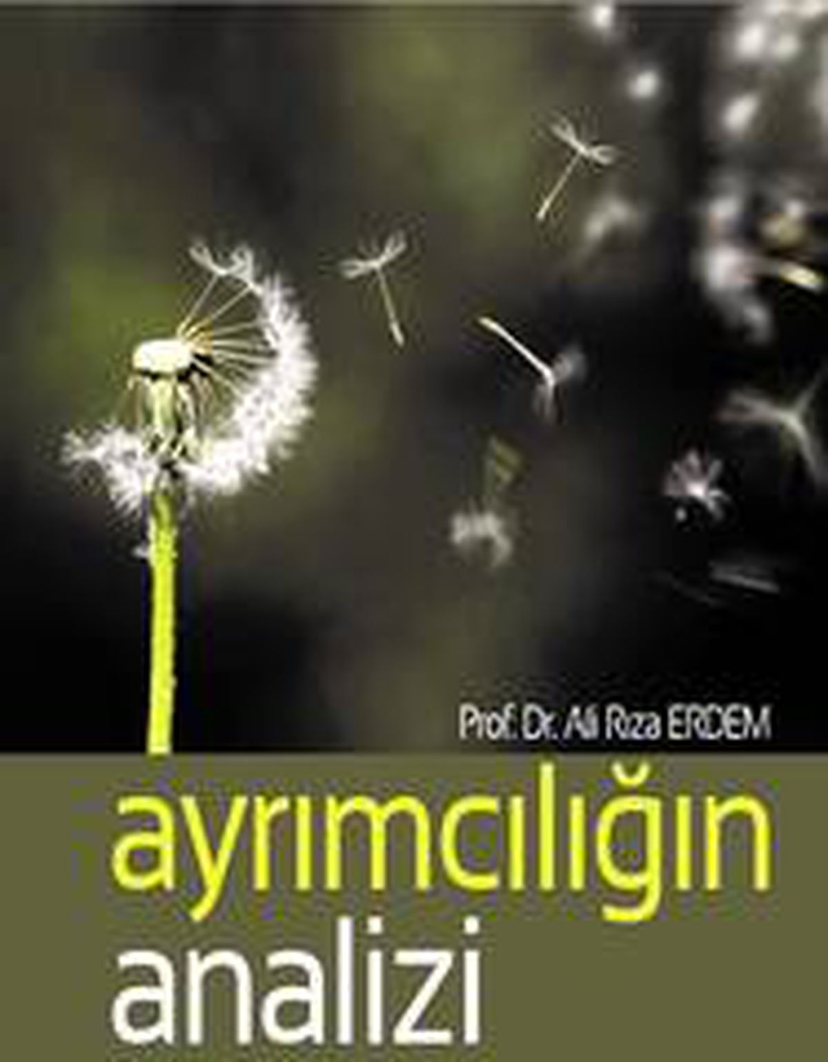 ADÜ öğretim üyesi Erdem\'in kitabı yayınlandı
