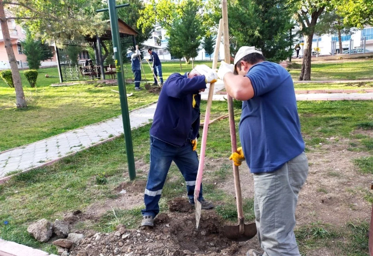 Keçiören\'in parkları kış çiçekleri ile donatıldı