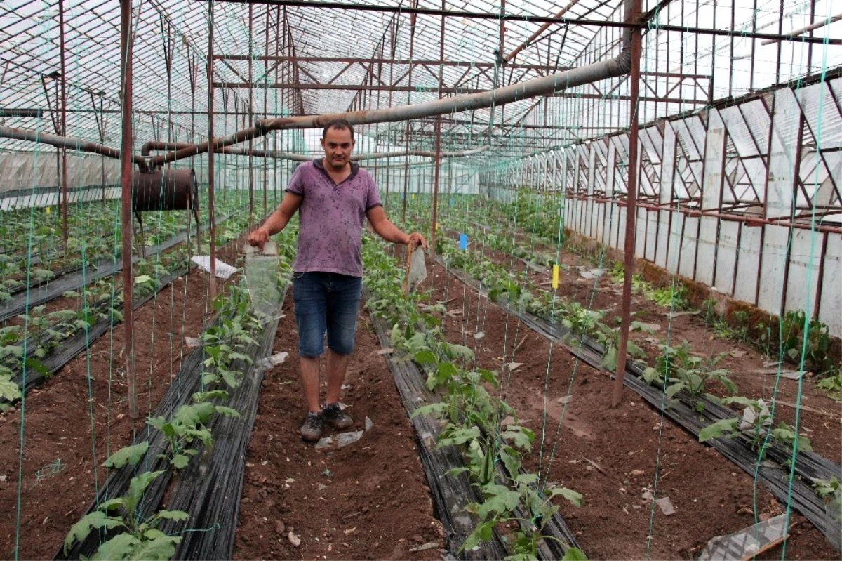 Kumluca\'da fırtına sonrası arazi hasar tespiti çalışmaları tamamlandı