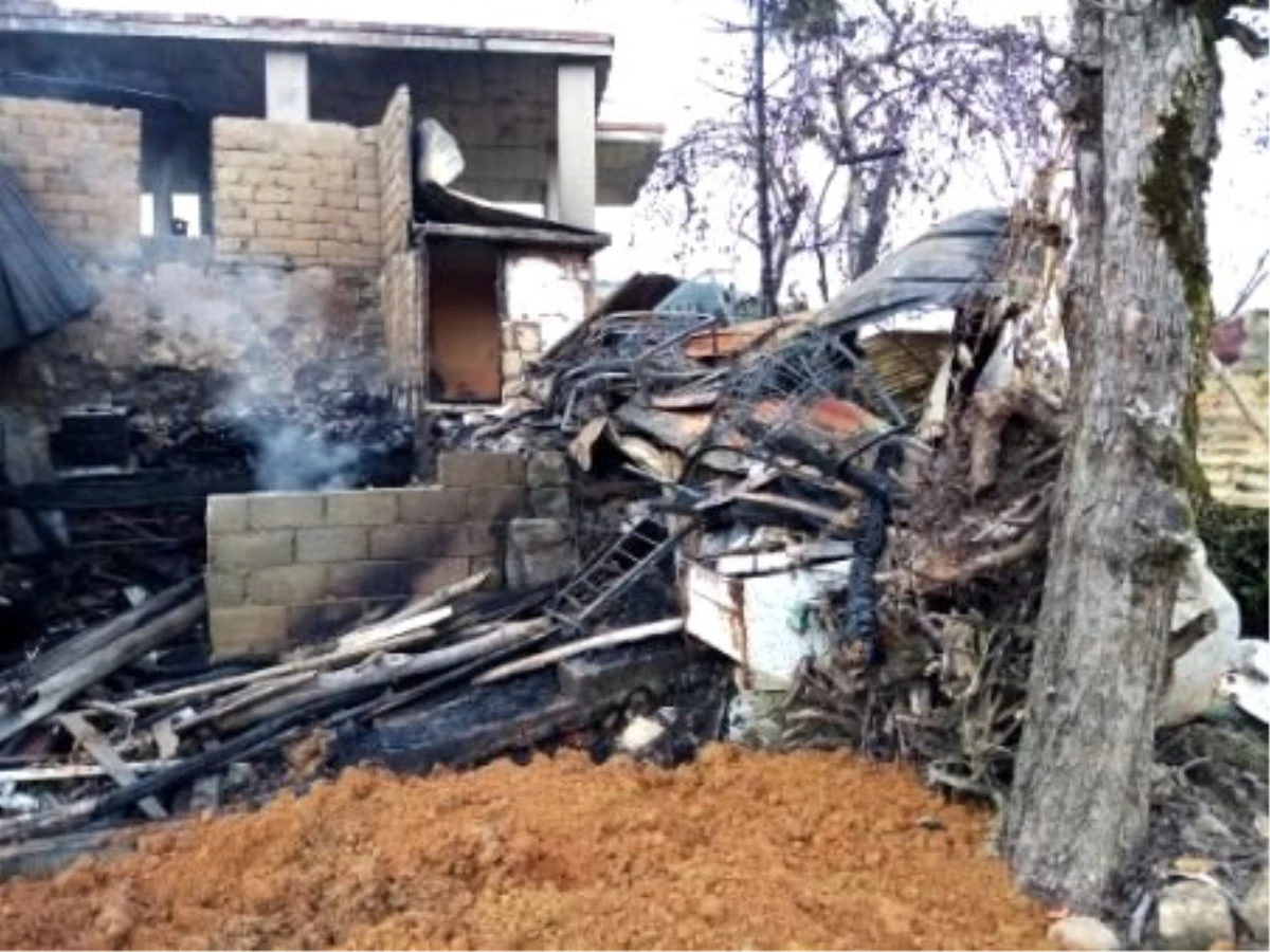 Rize\'de 2 ev yanarak kül oldu
