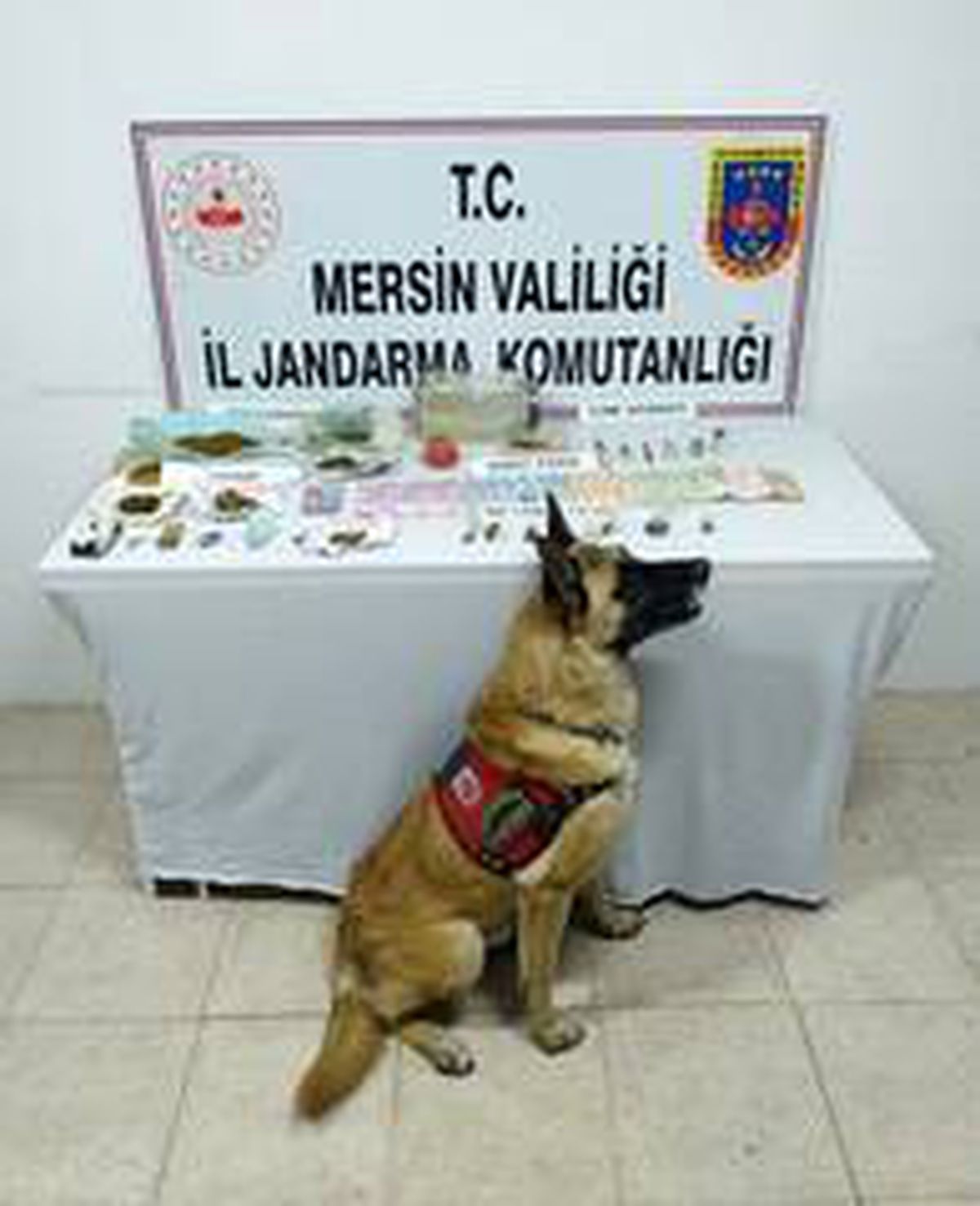 "Dünya" uyuşturucuları tek tek buldu