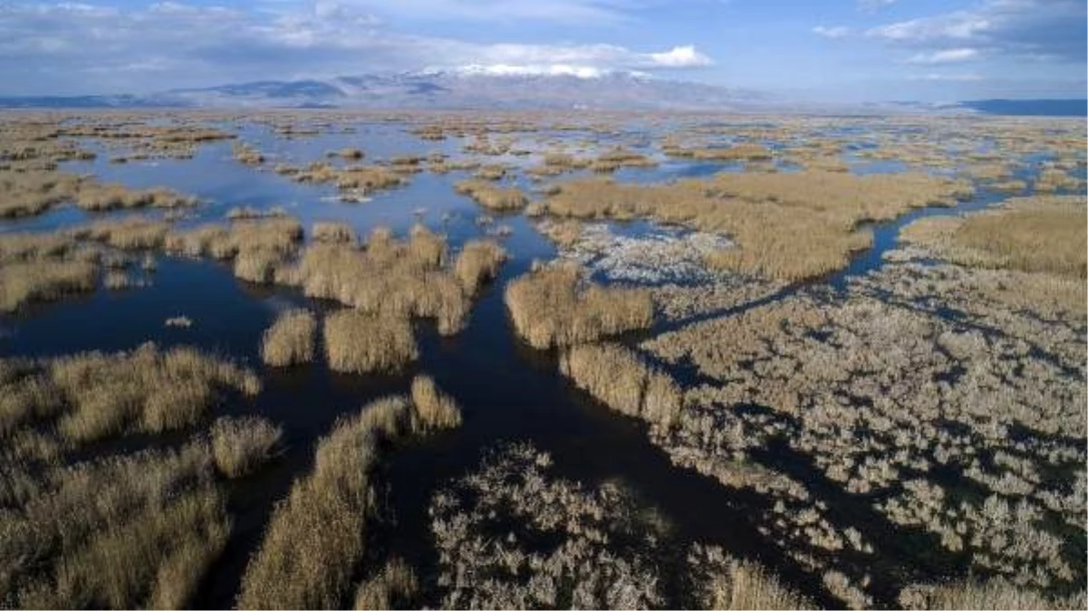 Son dakika haberleri: Eber Gölü, kesin korunacak hassas alan ilan edildi