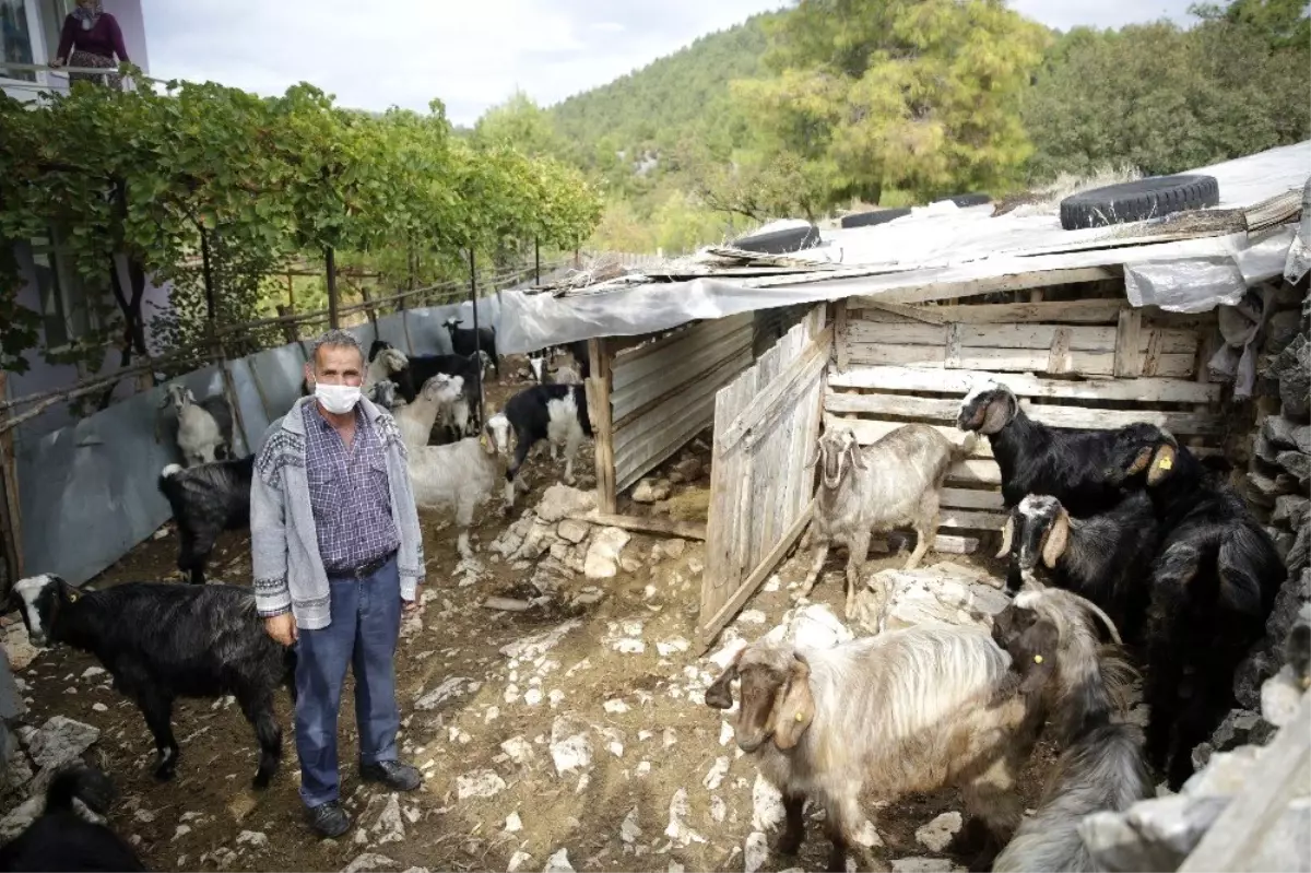 Gündoğmuş\'ta üreticilere eğitim verildi