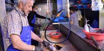 Pandemi dönemi siparişle balık satın alma talebini arttırdı