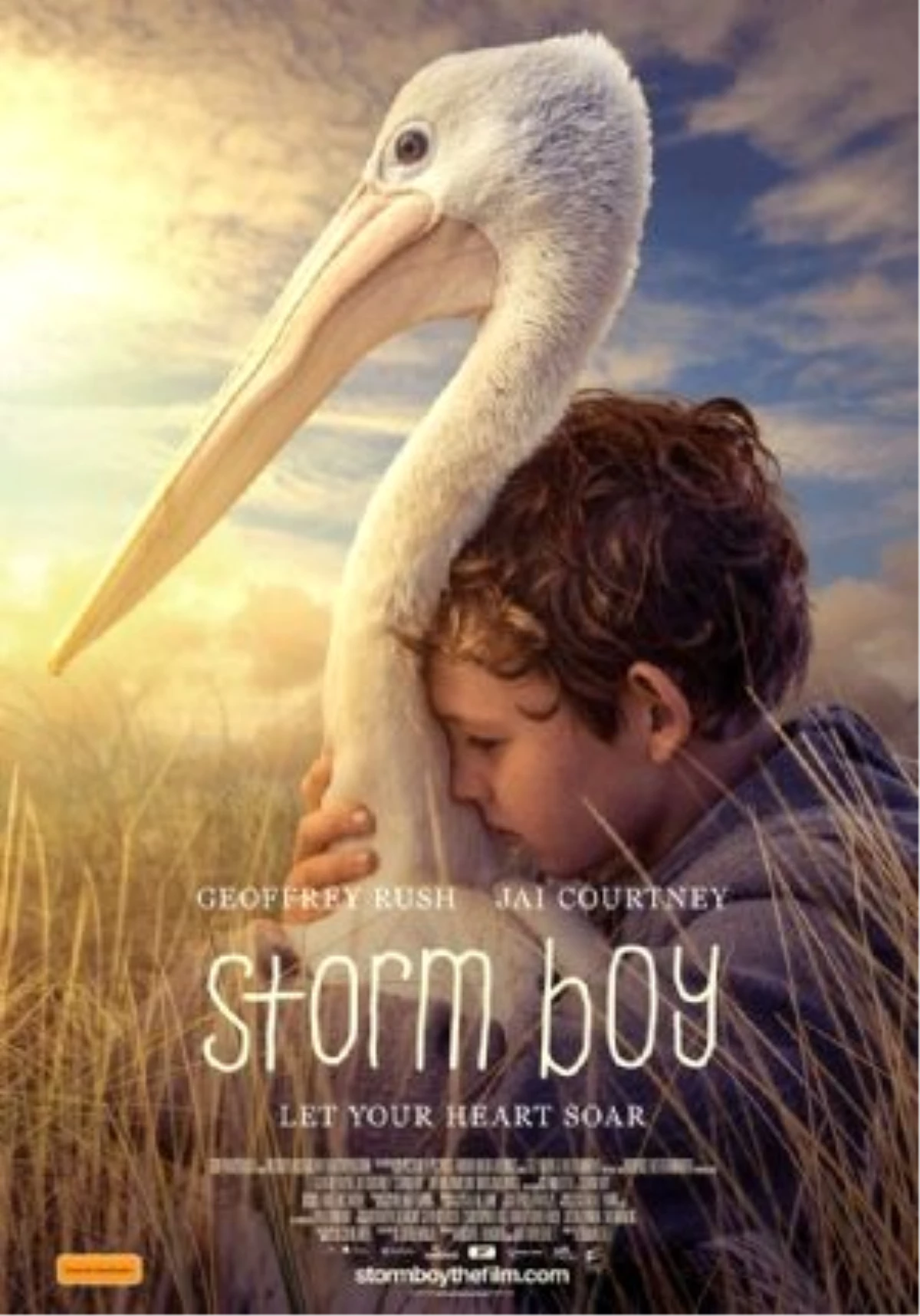 Storm Boy Filmi