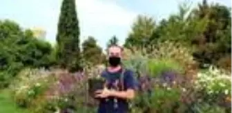 Trakya Üniversitesi, 'Edirne Kırmızısı' için bitki yetiştirme çalışmalarına başladı