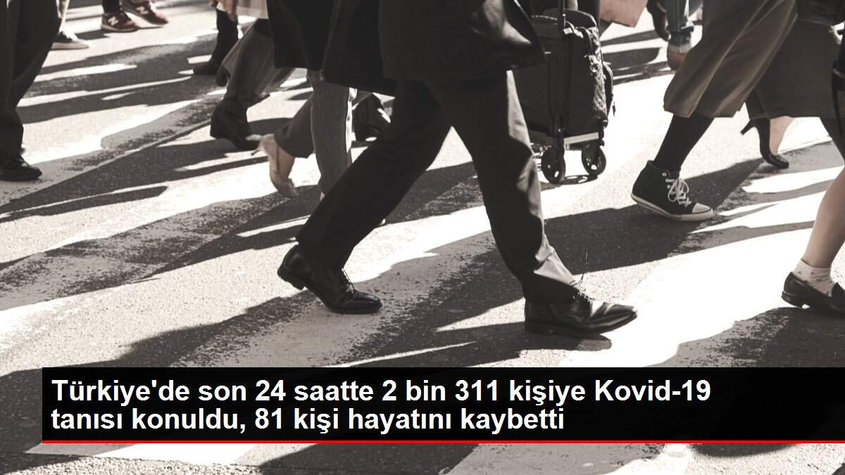 Türkiye'de son 24 saatte 2 bin 311 kişiye Kovid-19 tanısı konuldu, 81 kişi hayatını kaybetti