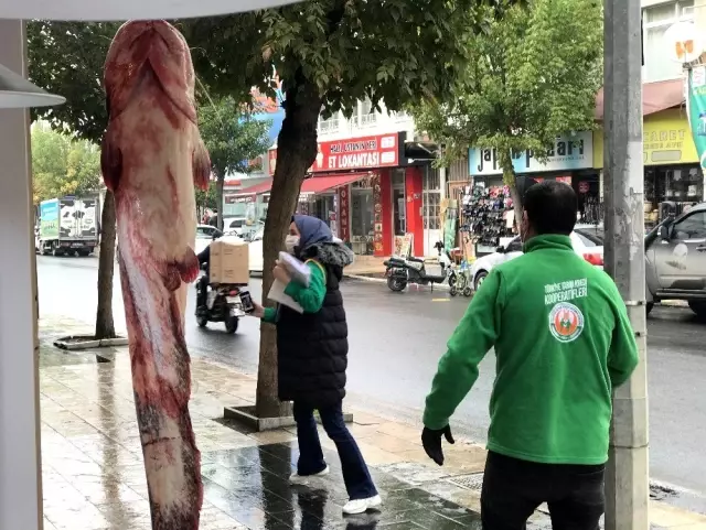Balıkçıların ağına takılan insan boyunda balık görenleri şaşırtıyor Balıkçıların ağına takılan insan boyunda balık görenleri şaşırtıyor