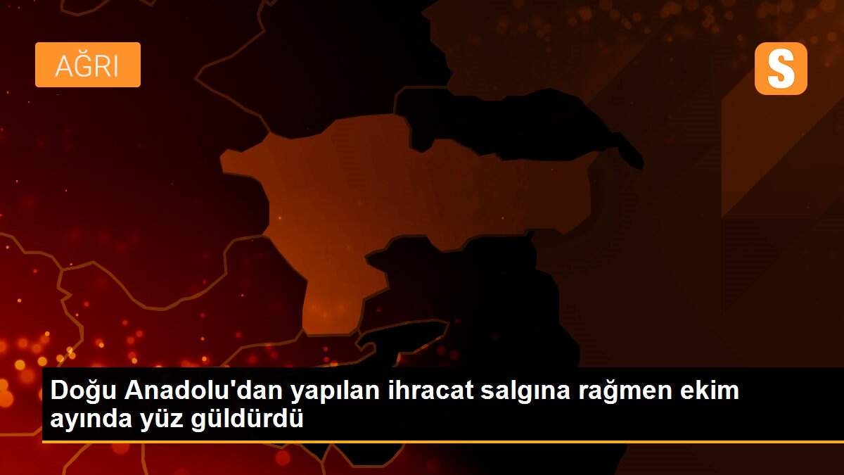 Son dakika haber! Doğu Anadolu\'dan yapılan ihracat salgına rağmen ekim ayında yüz güldürdü