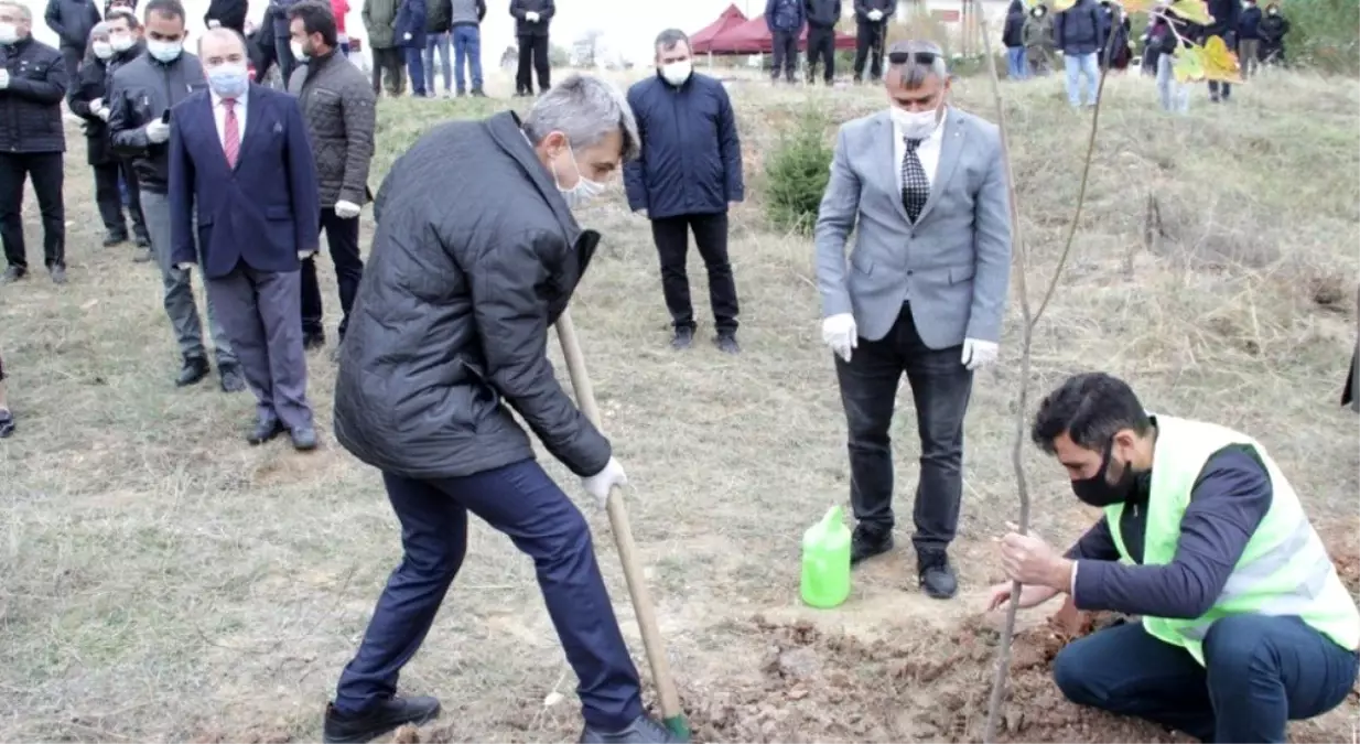 DPÜ\'de 2 bin 53 fidan Hatay için toprakla buluştu