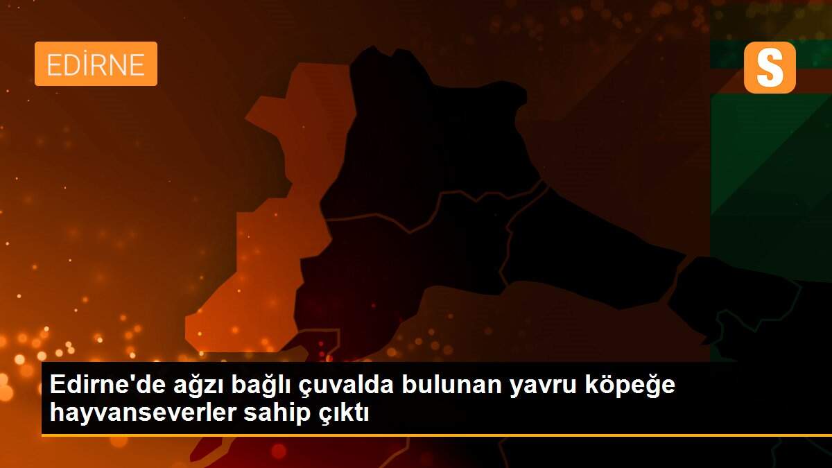 Edirne\'de ağzı bağlı çuvalda bulunan yavru köpeğe hayvanseverler sahip çıktı