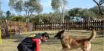 Enkazda kediyi bulan Bob'un eğitmeni: Köpeğimle gurur duyuyorum