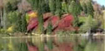 Karagöl Tabiat Parkı'nda sonbahar güzelliği