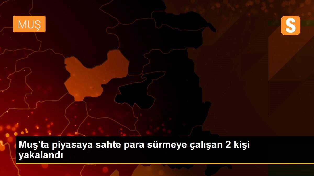 Muş\'ta piyasaya sahte para sürmeye çalışan 2 kişi yakalandı