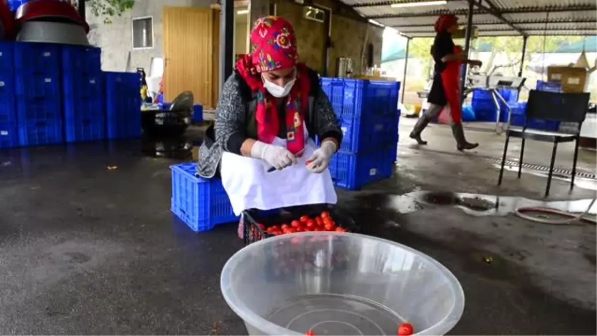 Salçası ve turşusu ile bilinen domatesin reçeline yoğun ilgi