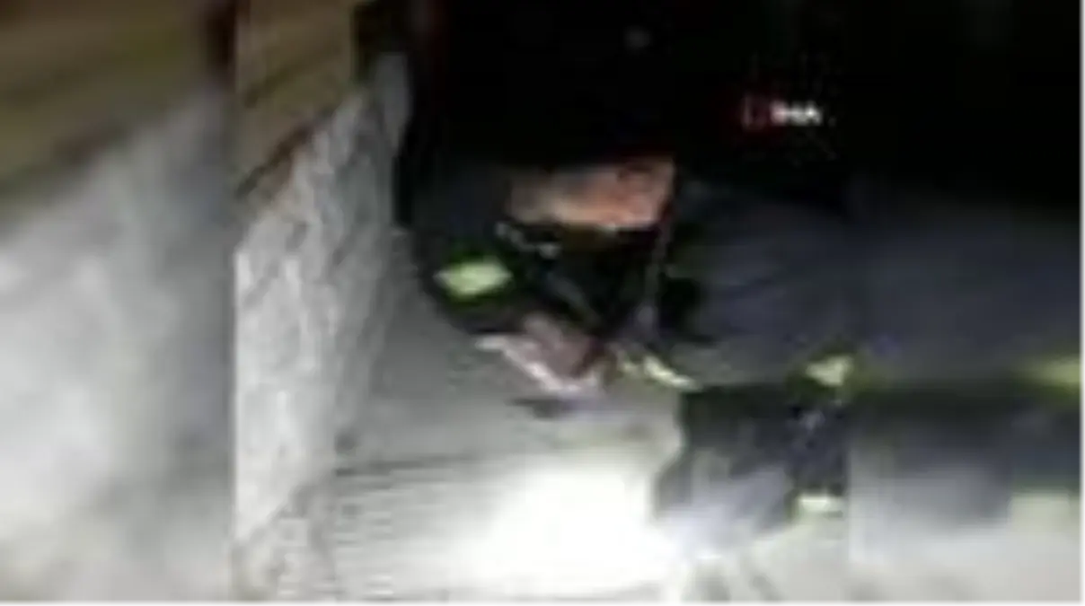 Dumandan etkilenen tavşana kalp masajı