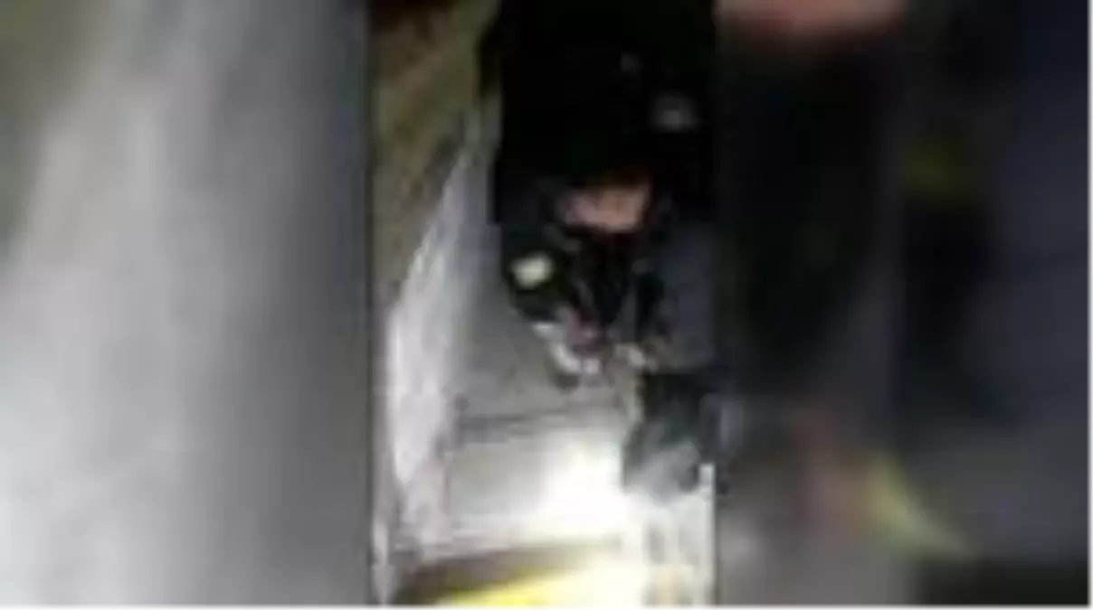 Son dakika haber... İtfaiye ekibi, dumandan zehirlenen tavşana kalp masajı yaptı