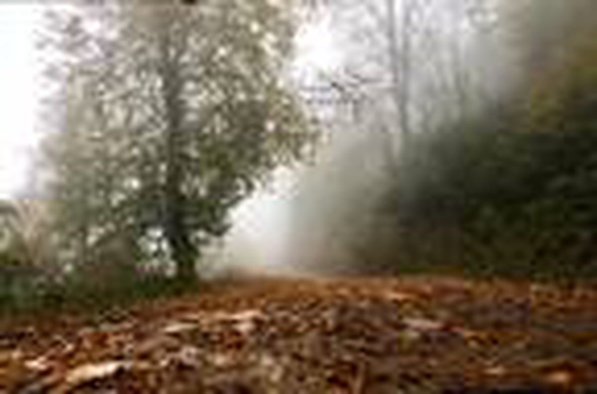 Kartepe\'de büyüleyici sonbahar