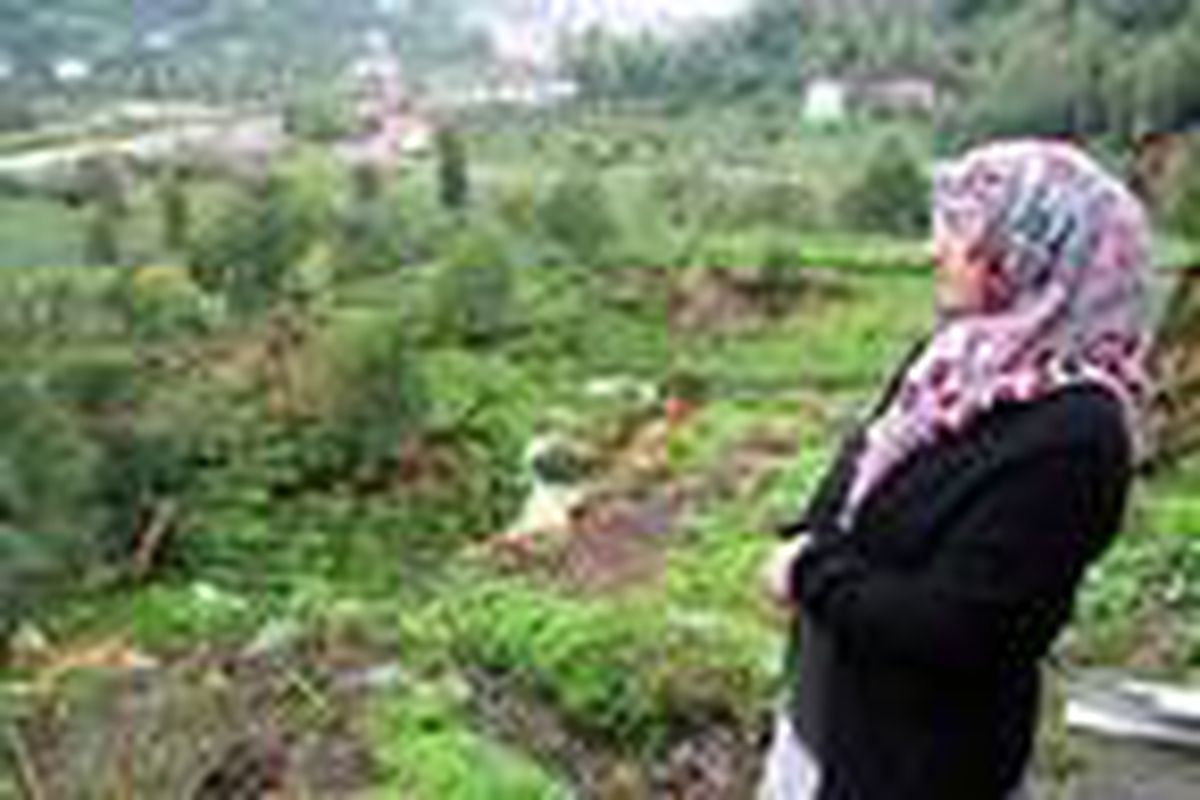 Rize\'de heyelan, 4 ev boşaltıldı (2)