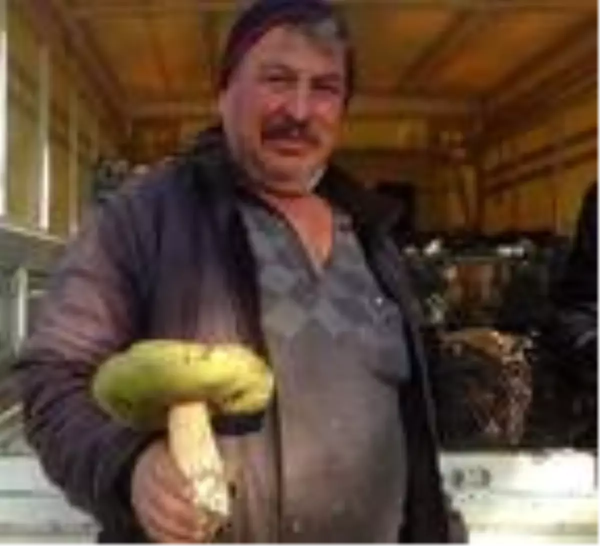 Çanakkale\'de ayı mantarı köylünün gelir kapısı oldu