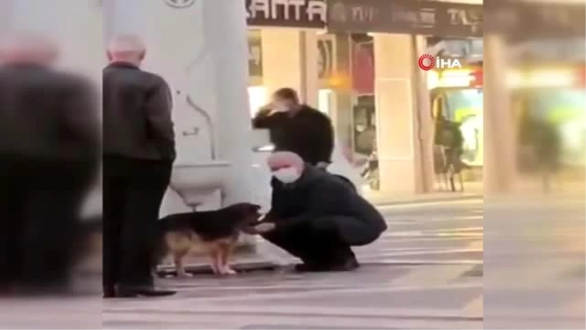 Köpeğe avucuyla su verdi