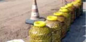 Mardin'de hasadı yapılan zeytin, zeytinyağına dönüştürülüyor