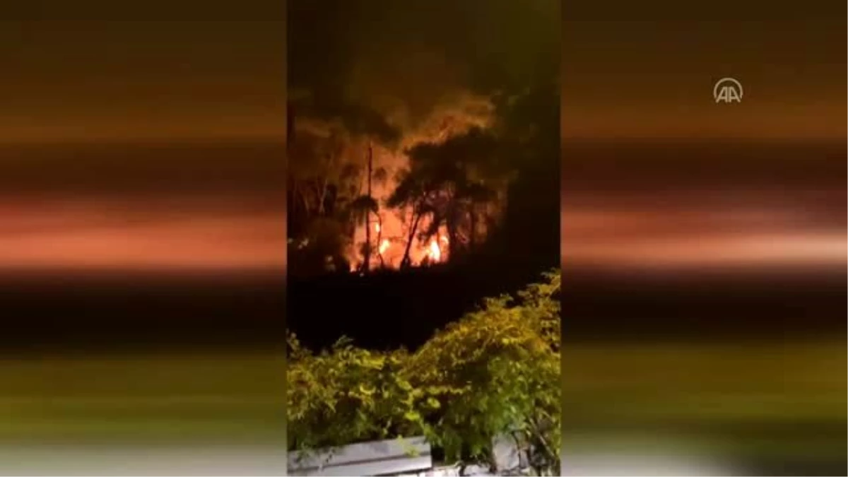 Son dakika haber: Ula\'da çıkan orman yangını söndürüldü