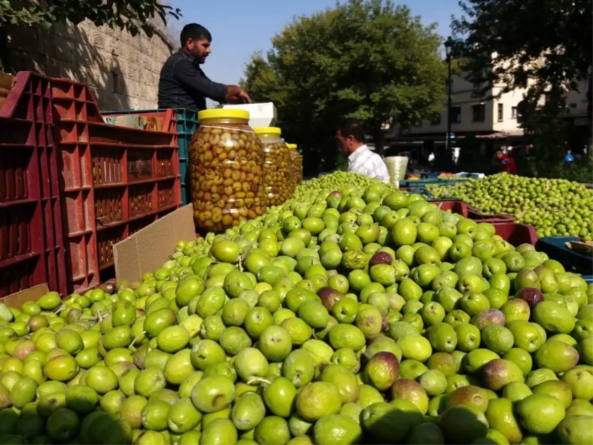 Yağmurun ardından tezgahlar zeytin doldu