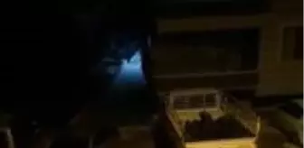 Aç kalan domuz şehir merkezine indi