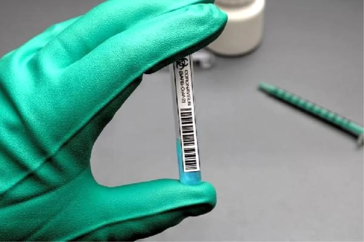 BioNTech ve Pfizer\'in koronavirüs aşısı 2021\'in ilk çeyreğinde piyasada olacak