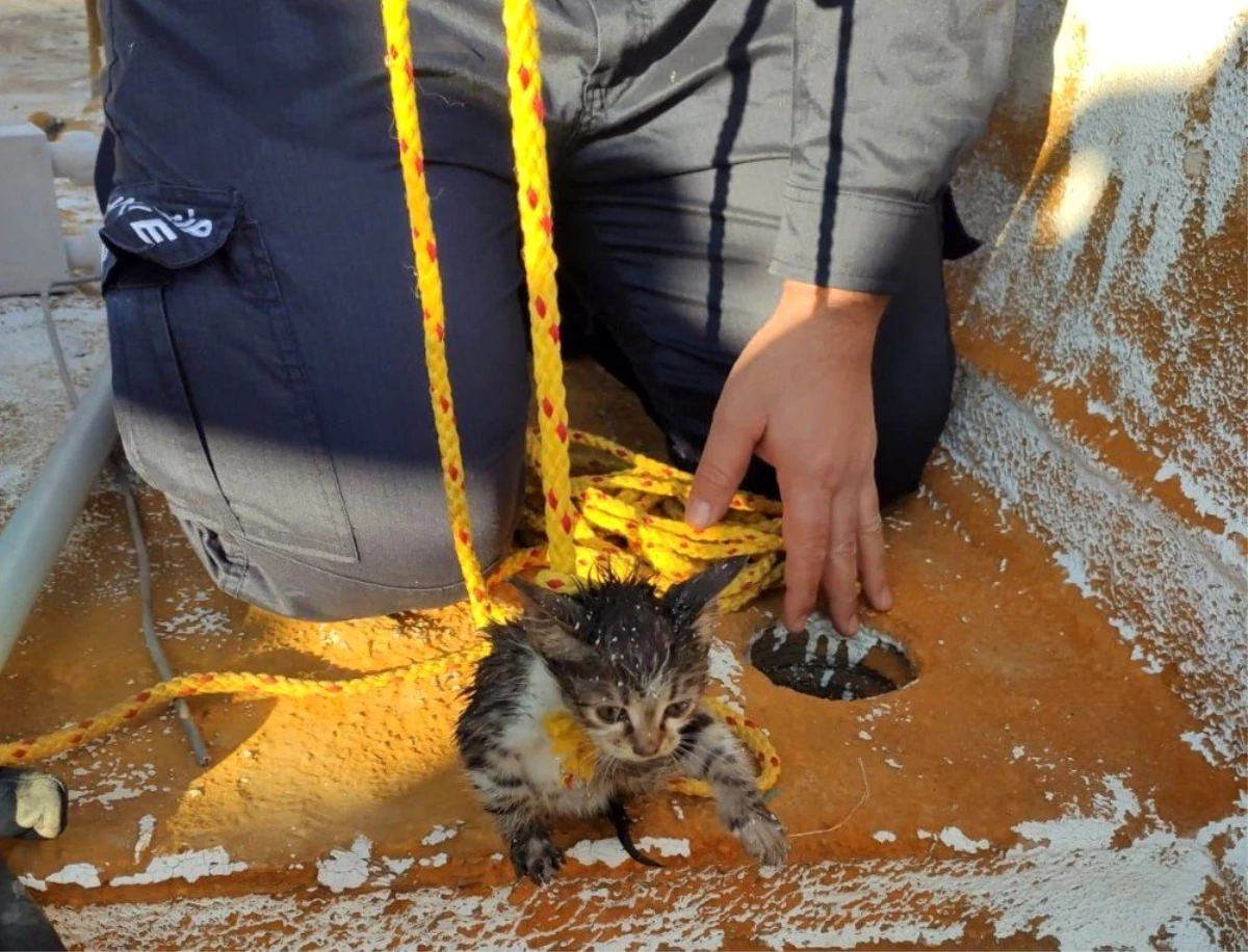 Edremit\'te gidere düşen kediyi itfaiye ekipleri özel uğraşla çıkardı