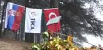 'Geleceğe Nefes' kampanyasında Sırbistan'da 1000 fidan dikildi