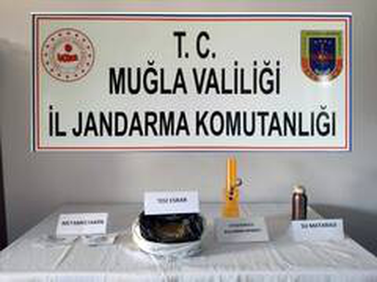 JASAT 15 hırsızlık olayını çözdü, şüpheli tutuklandı