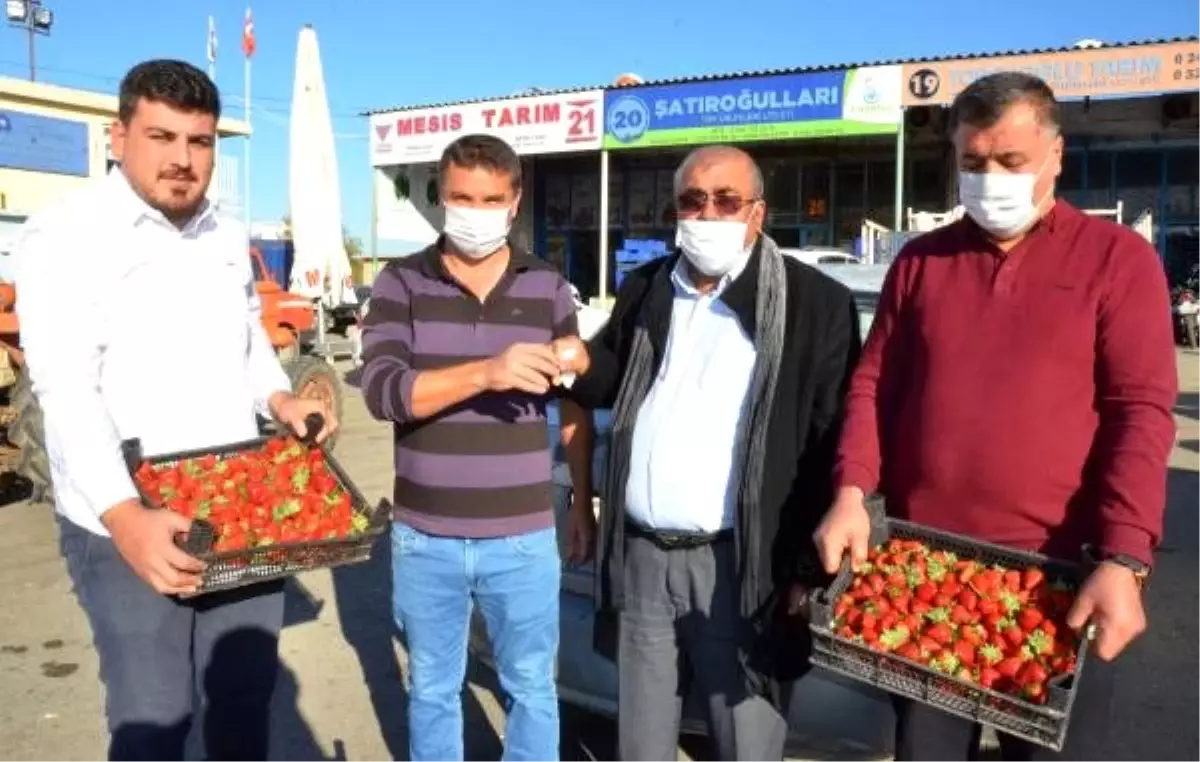 Kilosu 20 liraya satılan sezonun ilk çileğine çeyrek altın ödülü