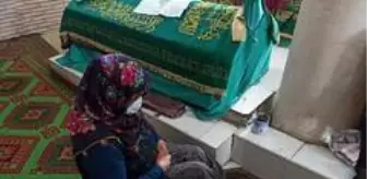 Malik Bin Şebib türbesine ziyaretçi akını