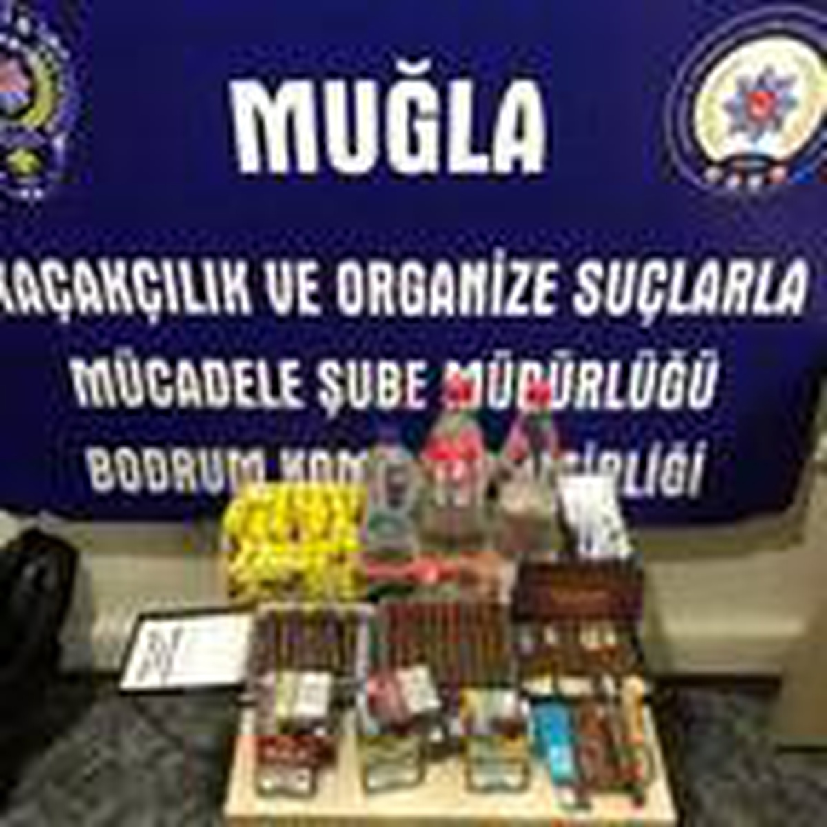 Son dakika haberi: Muğla\'da sahte içki ve tarihi eser operasyonunda 5 tutuklama