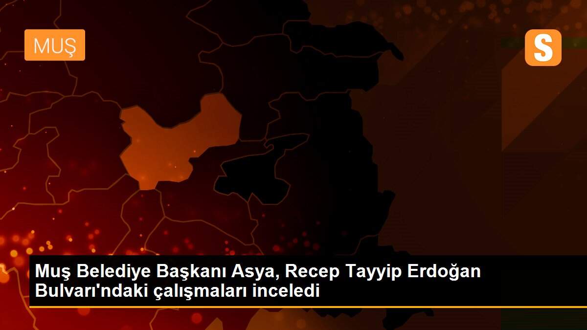 Muş Belediye Başkanı Asya, Recep Tayyip Erdoğan Bulvarı\'ndaki çalışmaları inceledi