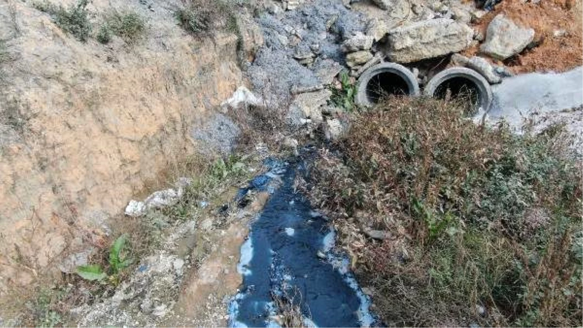 Sultangazi\'deki dere mavi ve siyah akıyor; Alibeyköy Barajı\'na ulaşıyor iddiası