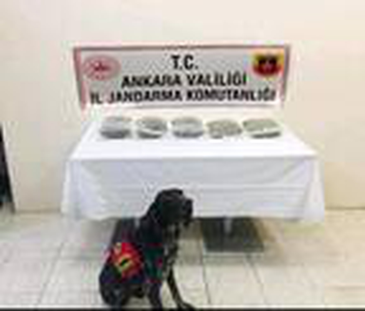 Uyuşturucu taciri, yolcu otobüsünde yakalandı