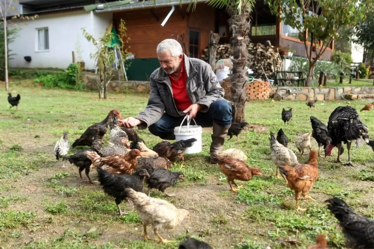 Yeşilçam\'ın yakışıklı jönü, şimdi böyle yaşıyor