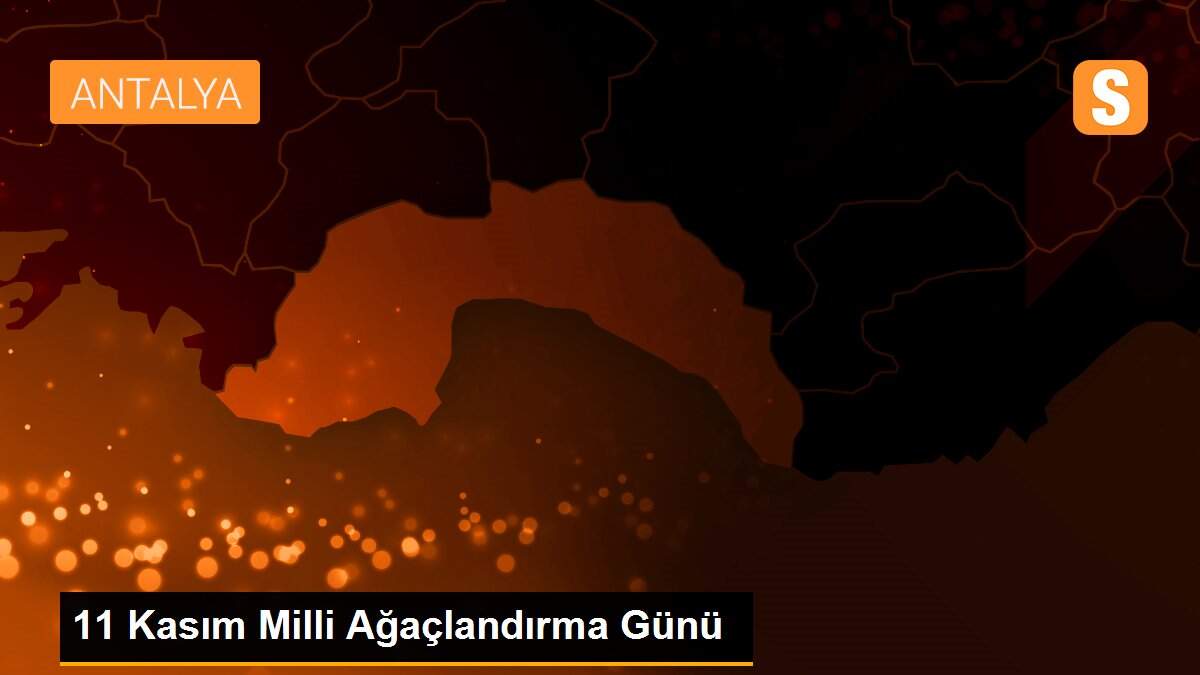 11 Kasım Milli Ağaçlandırma Günü