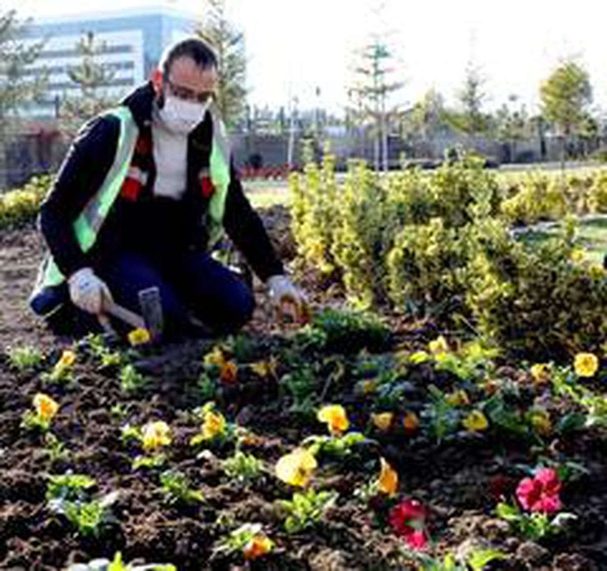Afyonkarahisar\'da 300 bin çiçek dikimi yapılacak