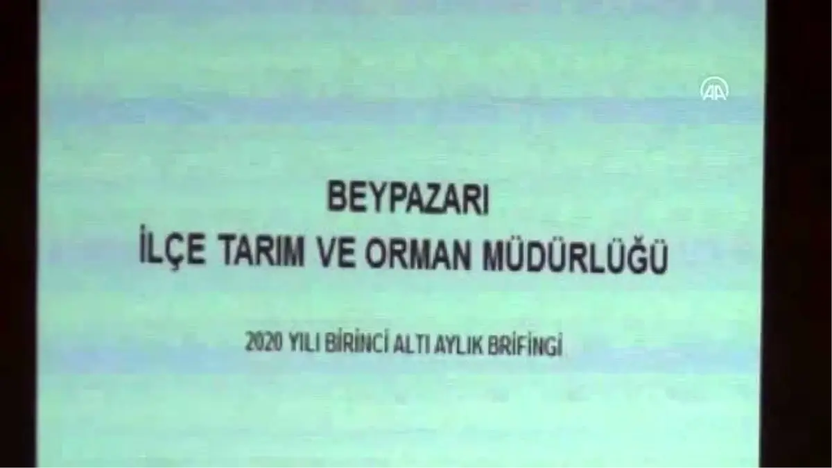 Beypazarı\'nda 180 çiftçiye yem tohumu dağıtıldı