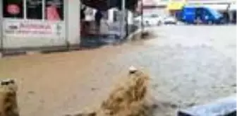 Derik'te sağanak ve dolu, caddeleri suyla doldurdu